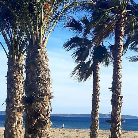 Studio Renove Climatise Avec Parking A La Faviere - Fr-1-610-65 Bormes-les-Mimosas